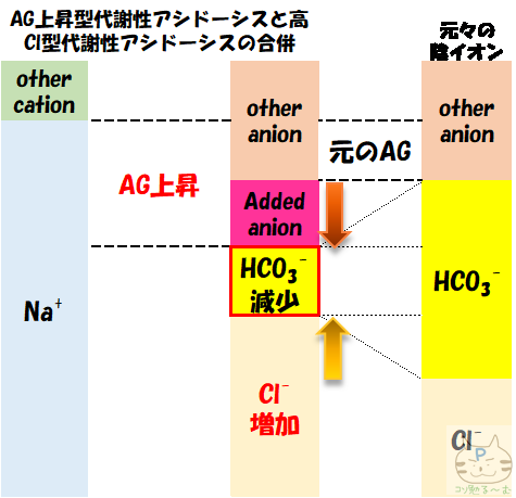 AG上昇型代謝性　高Cl型代謝性アシドーシス　合併